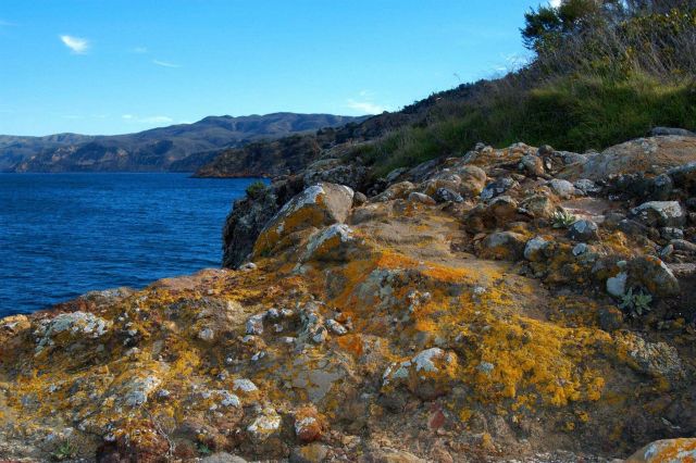 Lichen encrusted rocks adorn the cliffs of Santa Cruz Island. Picture