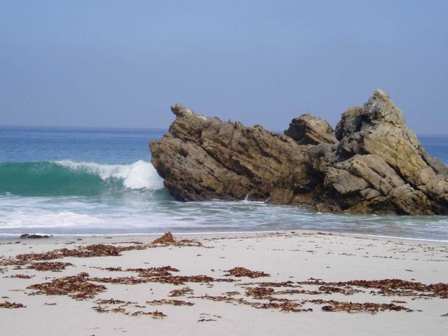 Kelp on sandy beach, a rocky outcrop, and emerald waves breaking on the shore. Picture
