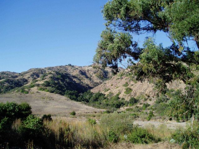 An arroyo on Santa Cruz Island. Picture