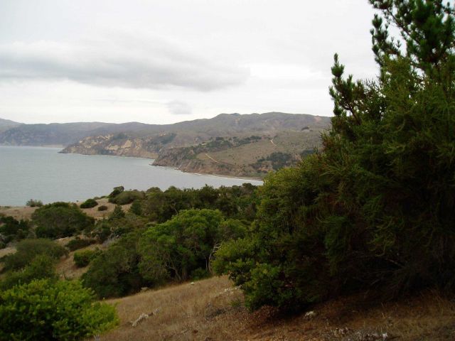 Mountains and shoreline typical of parts of the Channel Islands Picture
