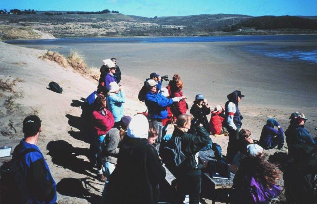Sanctuary volunteers for the seals program during field training Picture