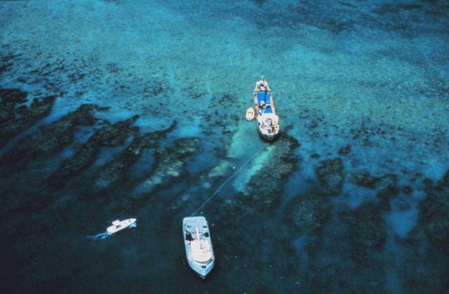 Reef damage - attempting to pull a grounded vessel off the Florida Reef Picture