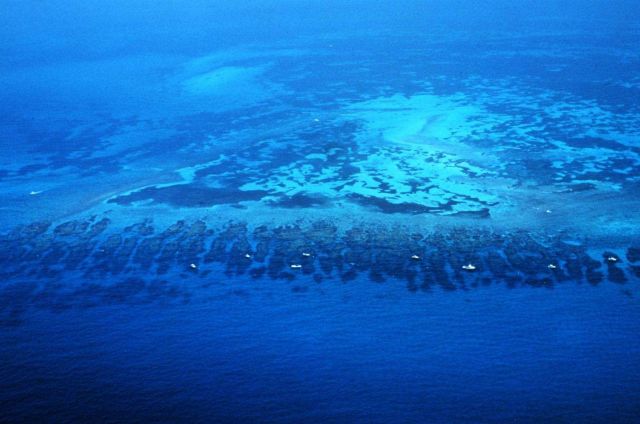 Aerial view of Florida Reef from the Gulf Stream side of the reef Picture