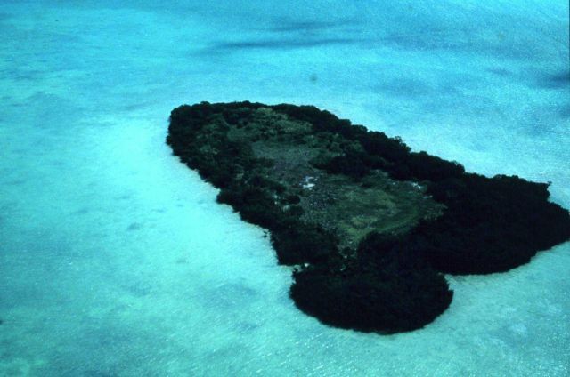 An isolated key in the Florida Keys Picture