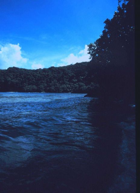 Shoreline of American Samoa Picture