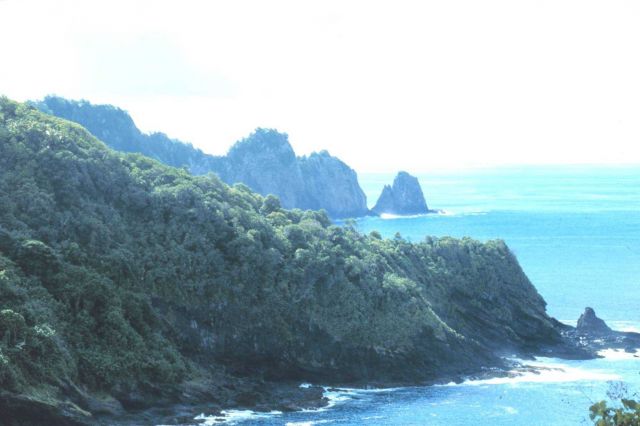 American Samoa shoreline Picture
