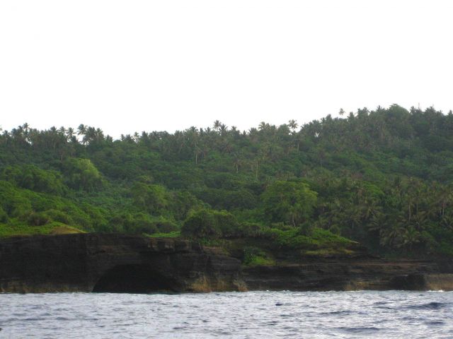Lush vegetation above sea caves in the lava beds of American Samoa. Picture