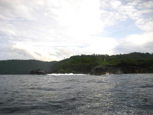 Lush vegetation above the lava shores of American Samoa. Picture