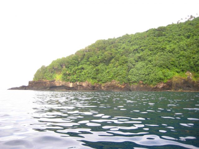 Lush jungle vegetation coming down to the edge of rocky cliffs over the sea. Picture