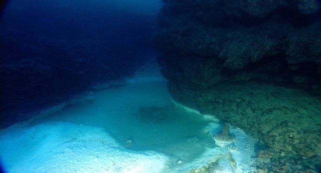 Brine seep at East Flower Garden Bank Picture