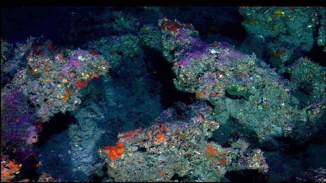 A beautiful muti-colored grotto on one of the banks. Picture
