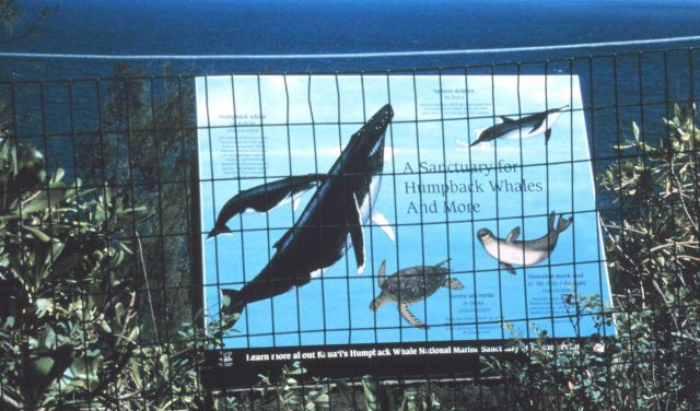 Sanctuary signage at Kilauea Point Picture