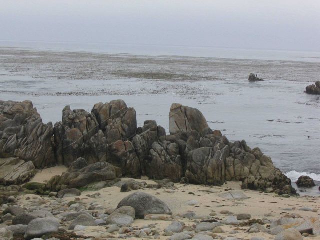 The granodiorite rocky shore and the kelp forests of the Pacific Grove area of Monterey Bay. Picture