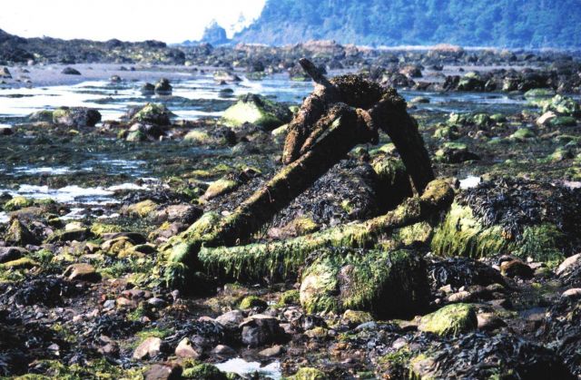 Remains of an anchor at Cape Alava Picture