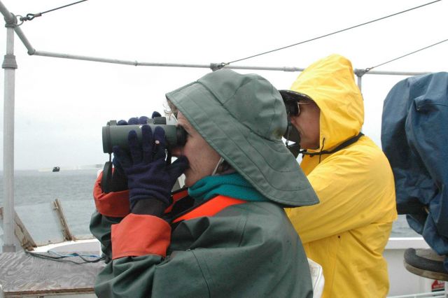 Seabird observers Barbara Blackie and Scott Mills are searching for birds from the NOAA Ship McARTHUR II while it was operating in sanctuary waters. Picture