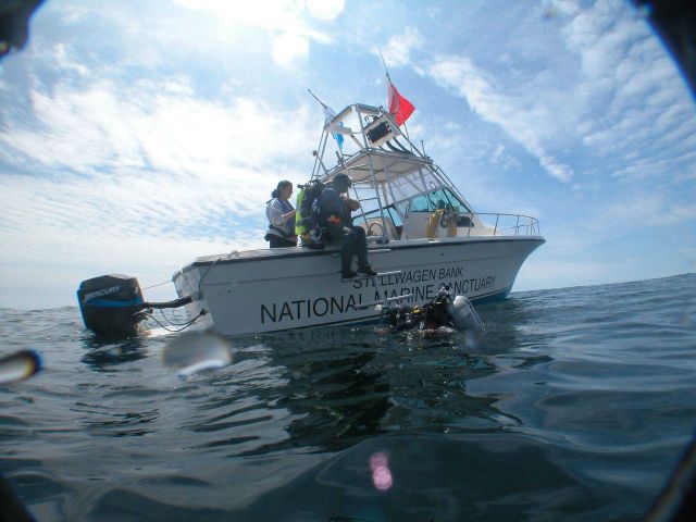 Divers Benjamin Cowie-Haskell and Deborah Marx climb back onboard the R/V Gannet after an investigation of the shipwreck Paul Palmer Picture