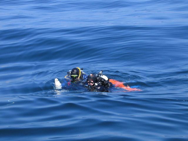 NOAA divers return from a dive in the Stellwagen Bank National Marine Sanctuary Picture