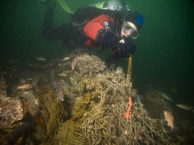 Marine debris on the shipwreck of the coal schooner Paul Palmer includes recreational fishing line and jigs. Picture