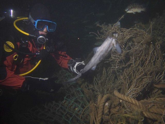 Derelict fishing gear Picture