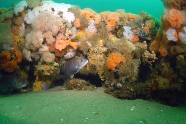 The Paul Palmer is an oasis of biodiversity Picture