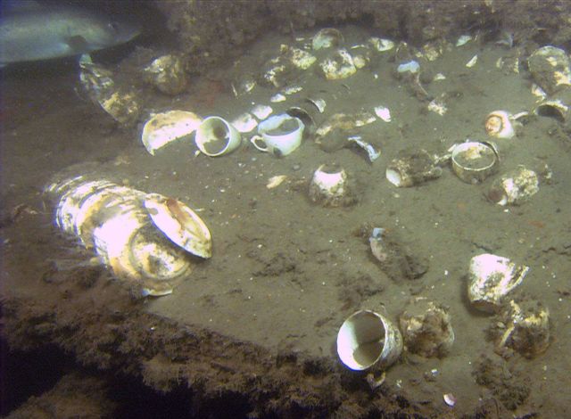 Cups and plates in the steamship Portland's galley Picture