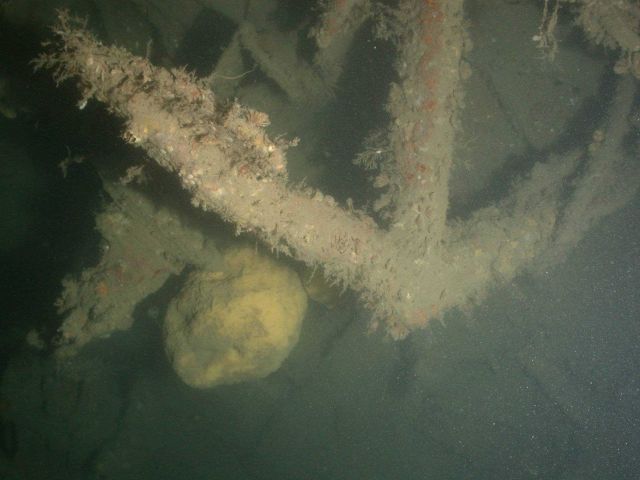 Anchor on seafloor. Picture