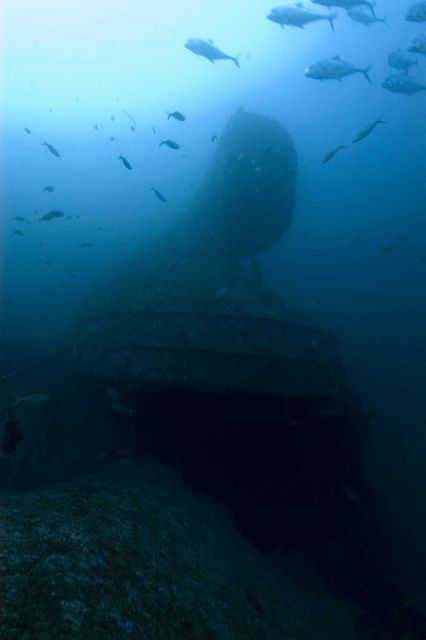 Upside-down rudder of the NORTHERN LIGHT, a shipwreck in 190 feet water depth Picture