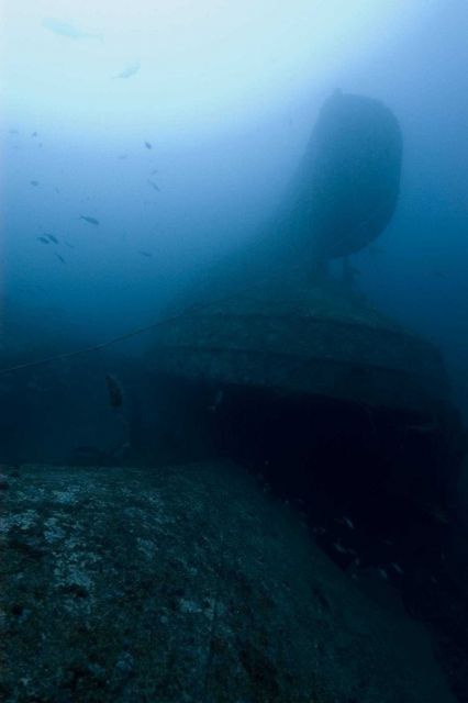 Upside-down rudder of the NORTHERN LIGHT, a shipwreck in 190 feet water depth Picture