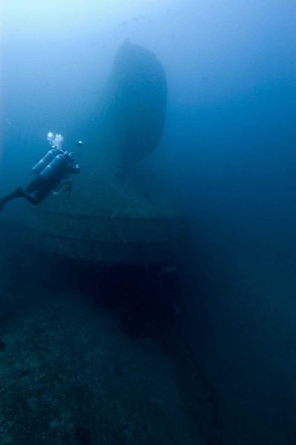 Upside-down rudder of the NORTHERN LIGHT, a shipwreck in 190 feet water depth Picture