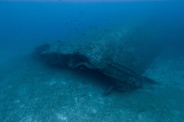 Debris from the NORTHERN LIGHT, a shipwreck in 190 feet water depth Picture
