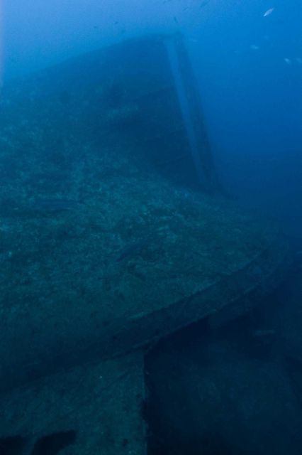 Upside-down rudder of the NORTHERN LIGHT, a shipwreck in 190 feet water depth Picture