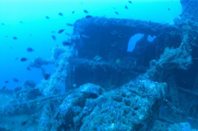 Shipwreck of the NORTHERN LIGHT Picture