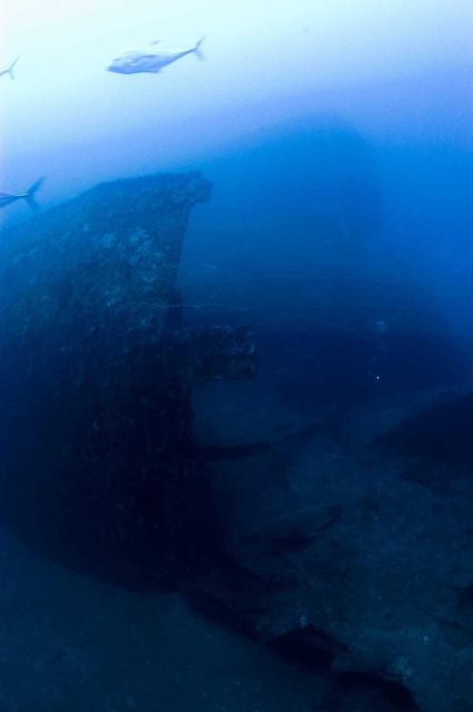 Shipwreck of the NORTHERN LIGHT Picture