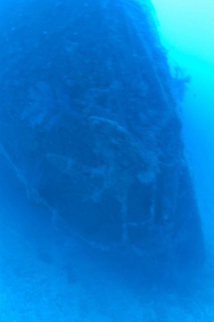 Shipwreck of the NORTHERN LIGHT Picture