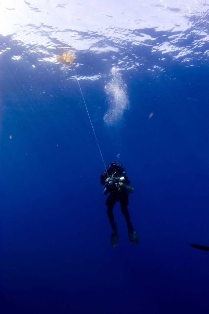 Diving archaeologist descending to the remains of the NORTHERN LIGHT. Picture