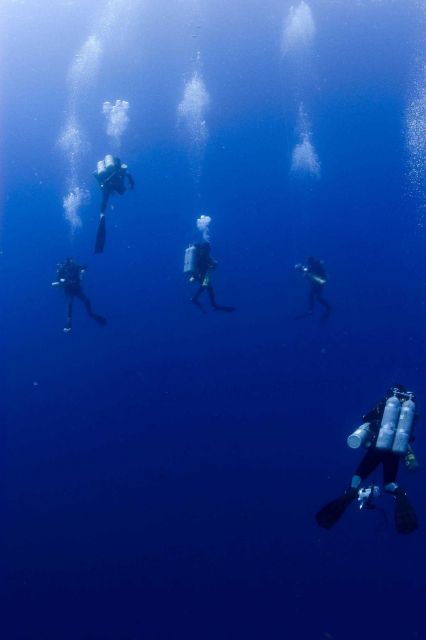 Diving archaeological team descending to the remains of the NORTHERN LIGHT. Picture