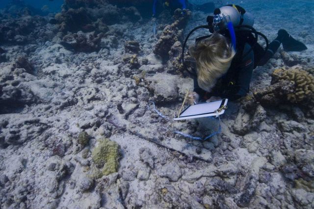 Cathy Green and Jason Raupp map the Two Brothers shipwreck site. Picture