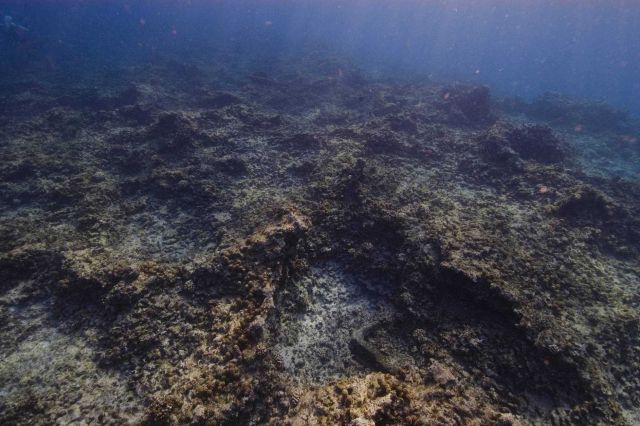 The HERMES shipwreck site Picture