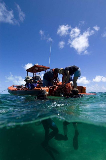 Recovery of a ship's bell at the PARKER shipwreck site. Picture