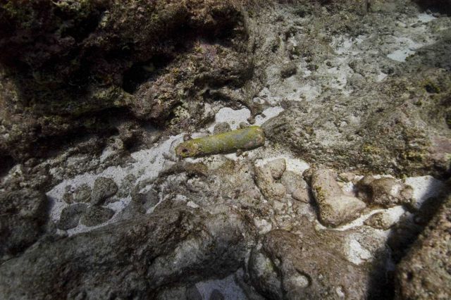 Sounding lead at the USS SAGINAW shipwreck site. Picture