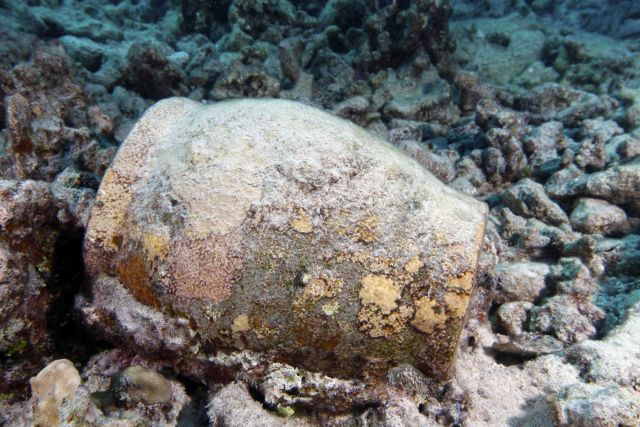 Ginger jar at Two Brothers shipwreck site. Picture