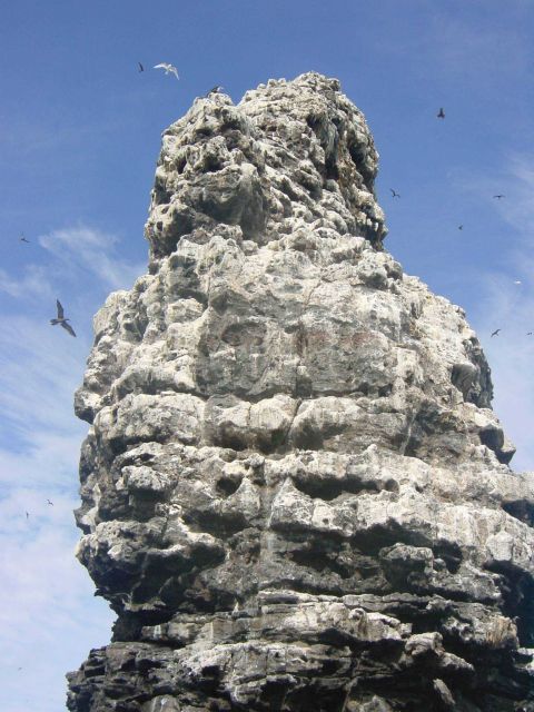 French Frigate Shoals Picture