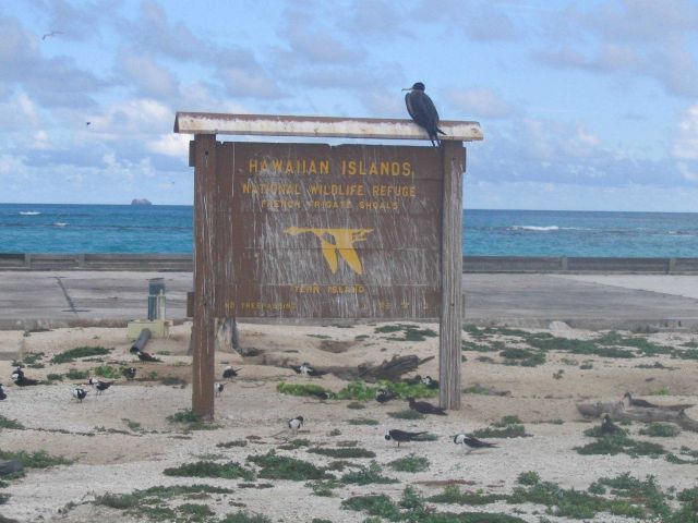 French Frigate Shoals, Tern Island, Hawaiian Islands National Wildlife Refuge. Picture