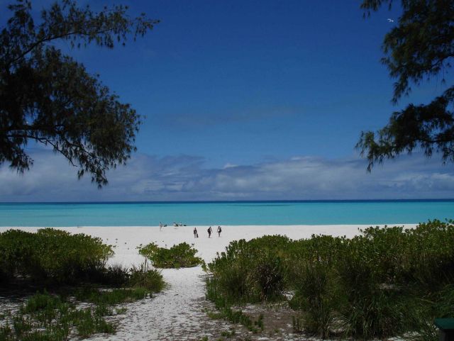 North Beach on Midway Island Picture