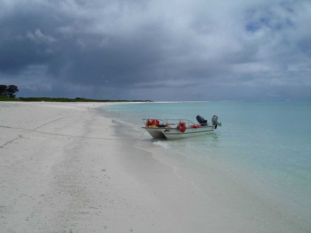 Kure Island. Picture
