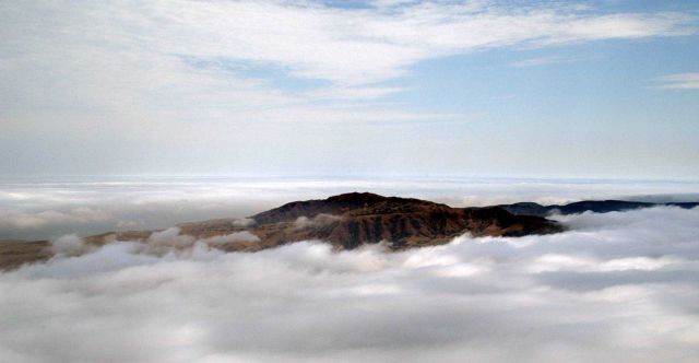The high peak of Santa Cruz Island seen poking through a sea of fog. Picture