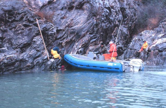 Ensign Dann Karlson assists divers with tide gauge installation, while Lt Picture