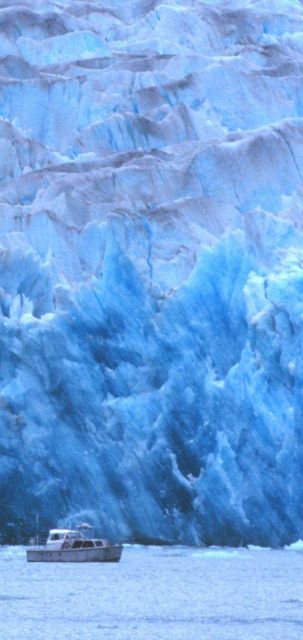 RA-3 boat is dwarfed by Sawyer Glacier at the head of Tracy Arm Picture
