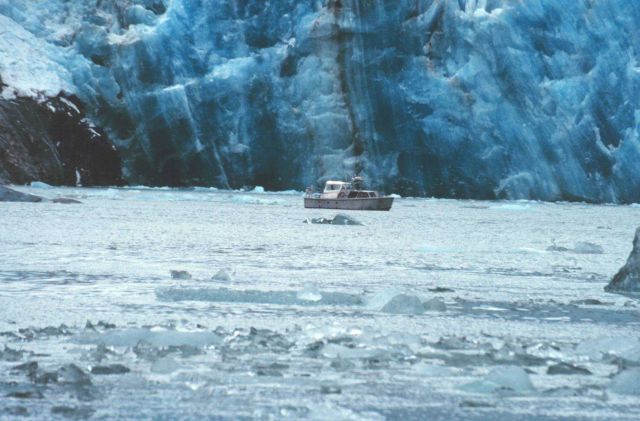 RA-3 boat is dwarfed by Sawyer Glacier at the head of Tracy Arm Picture