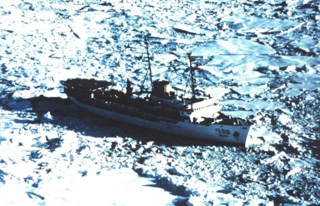 The SURVEYOR stuck in the ice in the Beaufort Sea. Picture